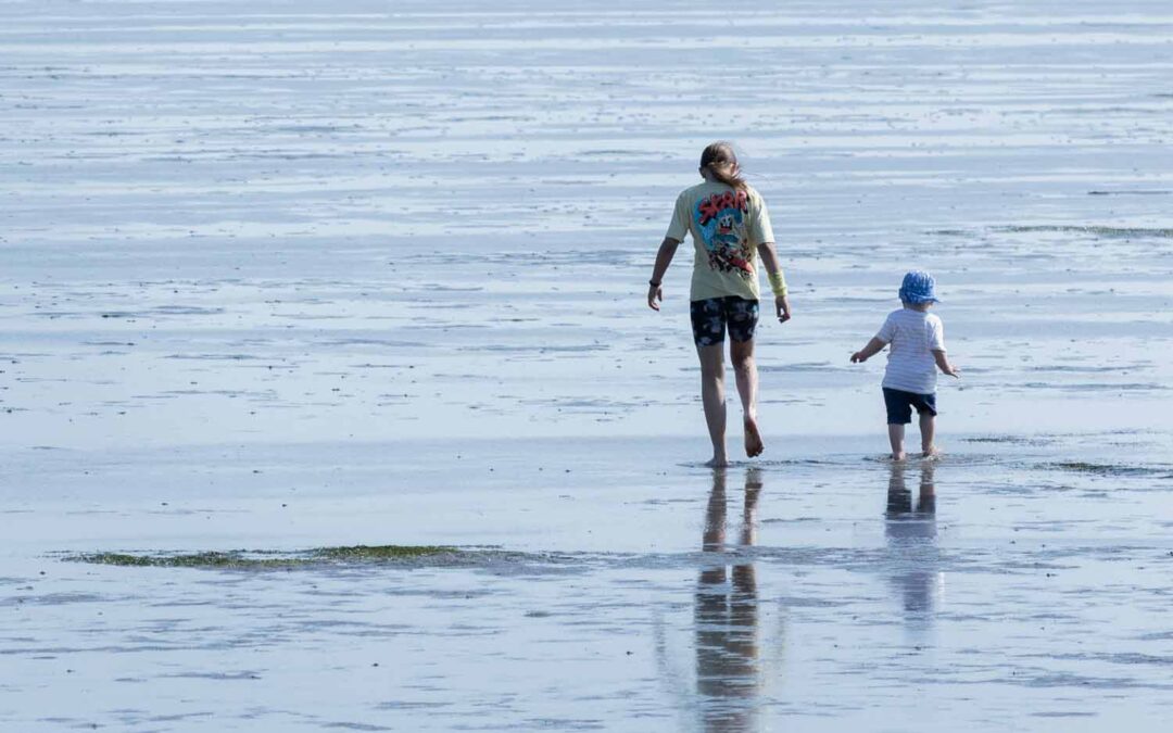 Büsum-Deichhausen: Nordseeidylle zwischen Naturerlebnis und Aktivurlaub