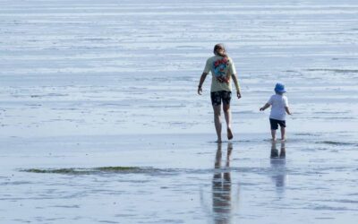 Büsum-Deichhausen: Nordseeidylle zwischen Naturerlebnis und Aktivurlaub